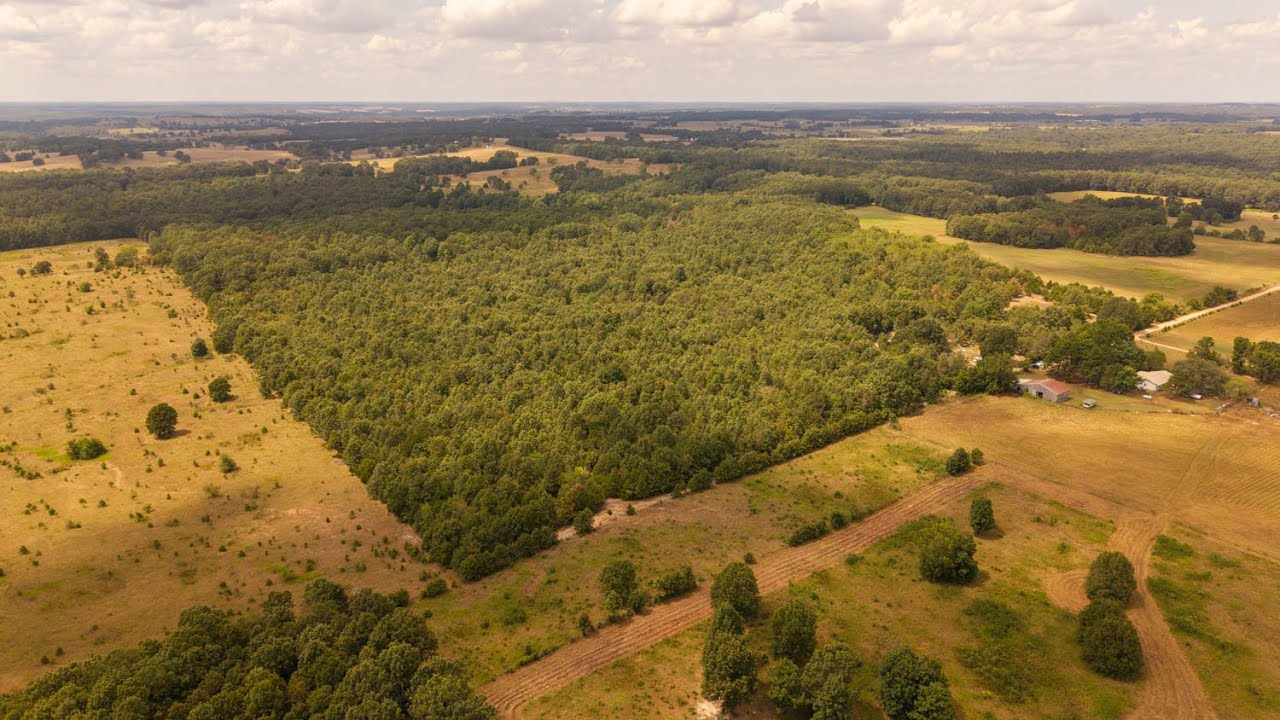 Hunting Land For Sale in the Ozarks | 000 County Road 9640, Koshkonong, Missouri