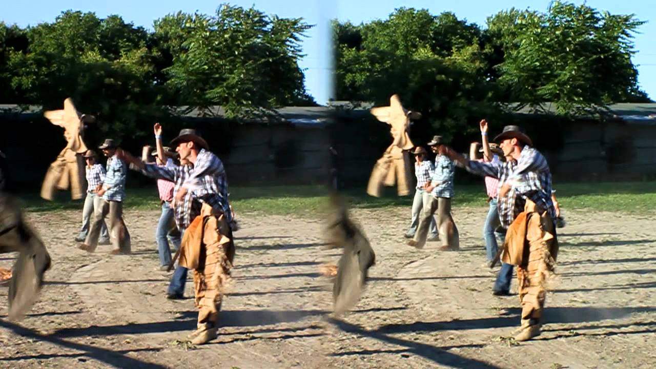 Hal&aacute;pi lovarda, lovasnap 2011., 3D side by side vide&oacute;, 5. r&eacute;sz