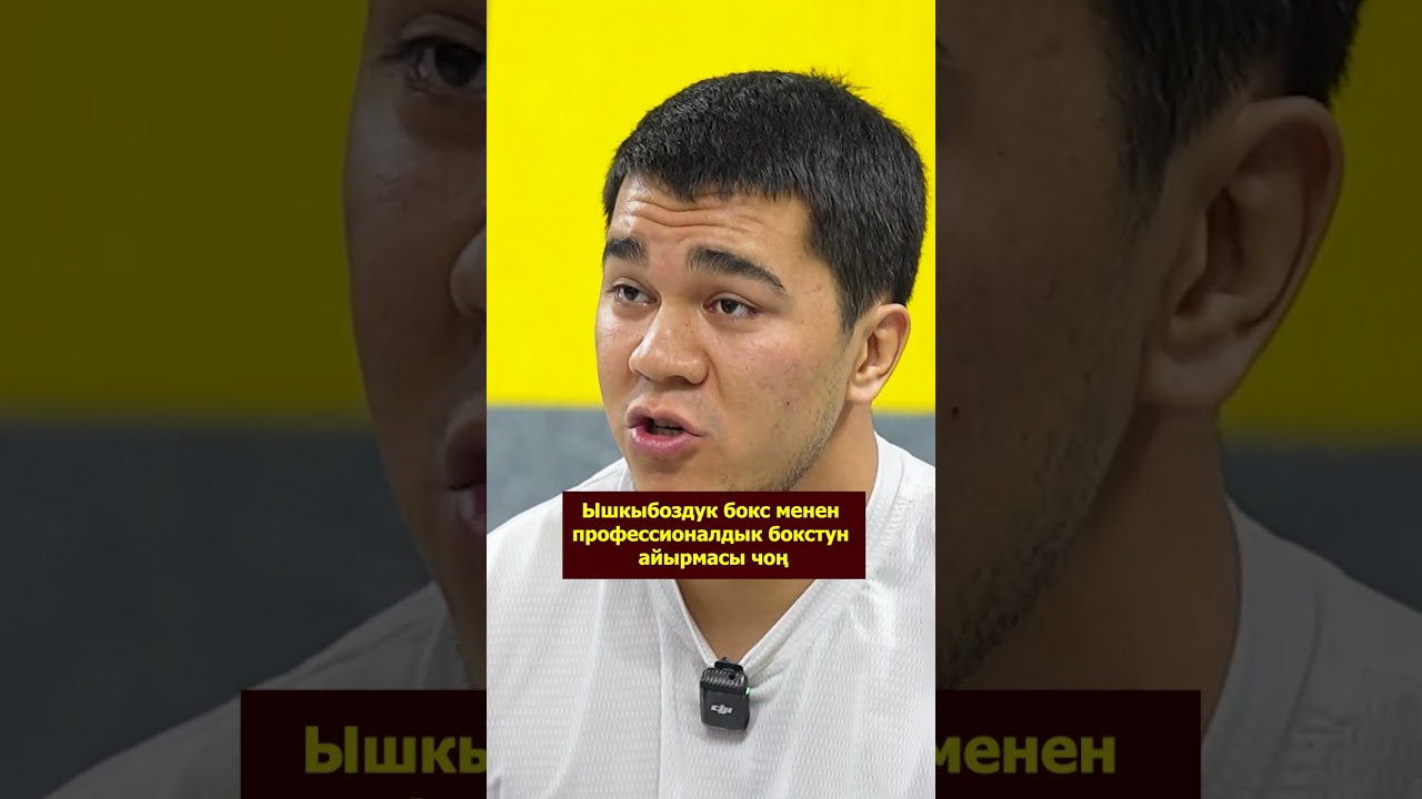 Проф бокс жана 