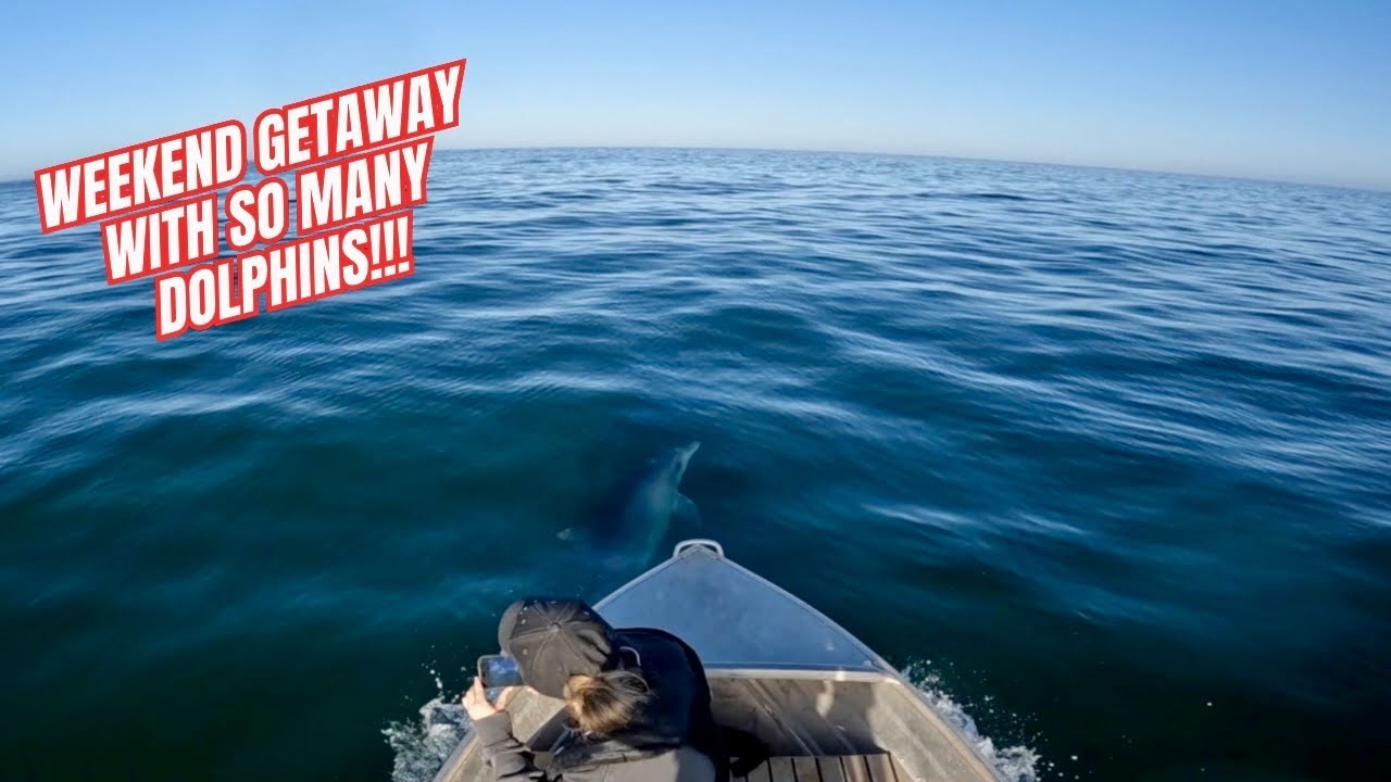 Chasing Dolphins and Finding an Abandoned Caravan at Point Brown!