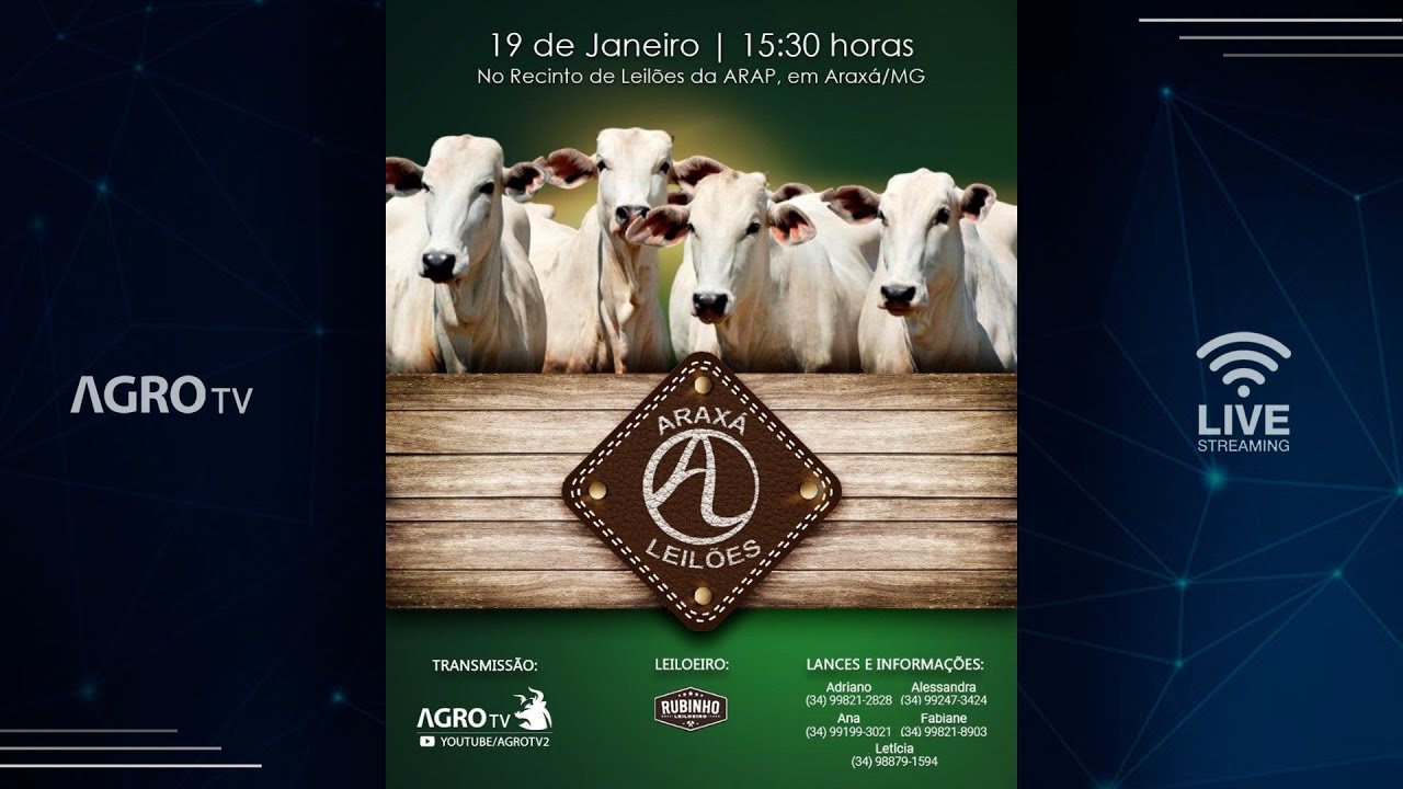 ARAXÁ LEILÕES AO VIVO - 19/01/2026