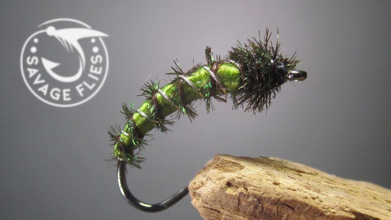 Do we need another caddis nymph? Oh yeah, you need this Gill Ribbed Caddis Larva!