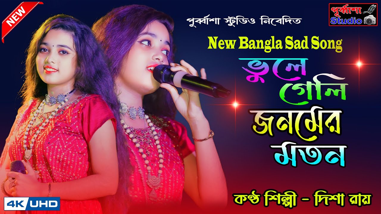 JINA NEHI JINA SATHI TERE BINA | জিনা নেহি জিনা সাথি । DISHA ROY | দিশা রায় । NEW SAD SONG 2024