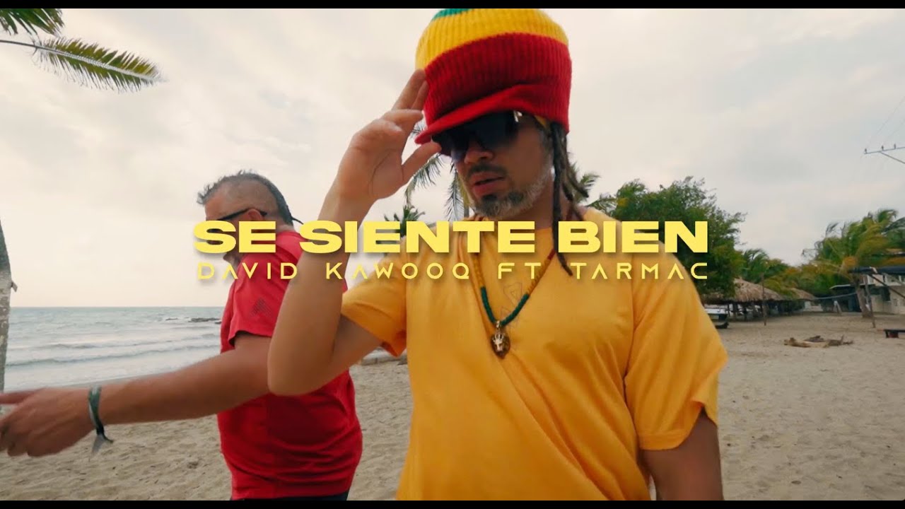 SE SIENTE BIEN   DAVID KAWOOQ & TARMAC