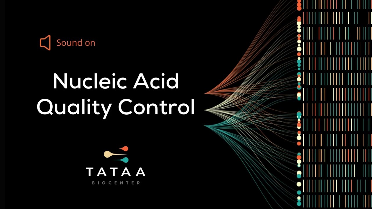 Nucleic acid quality and integrity control