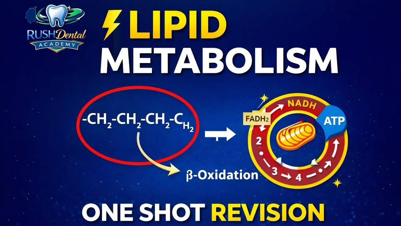 Lipid Metabolism in 40 Minutes | Fatty Acid Oxidation, Synthesis & Ketone Bodies