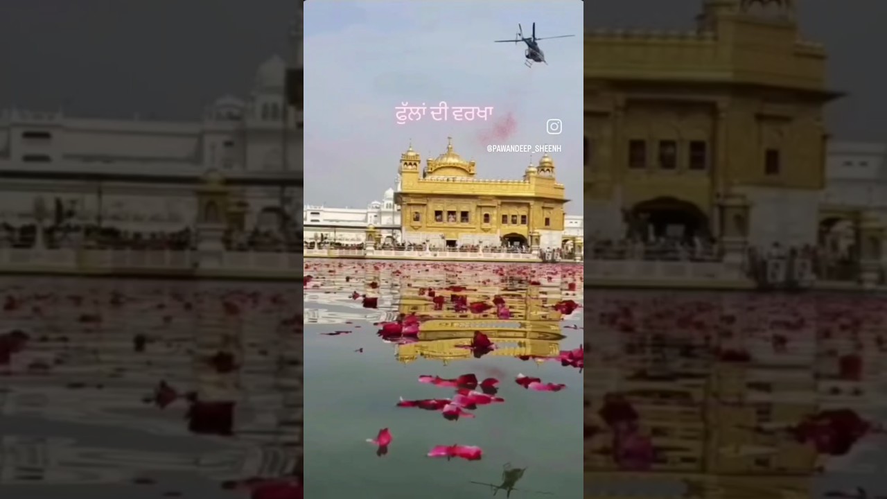 DHAN GURU RAMDAS JI 🙏🙏 #reels #shorts #gurpurab #celebration #amritsar