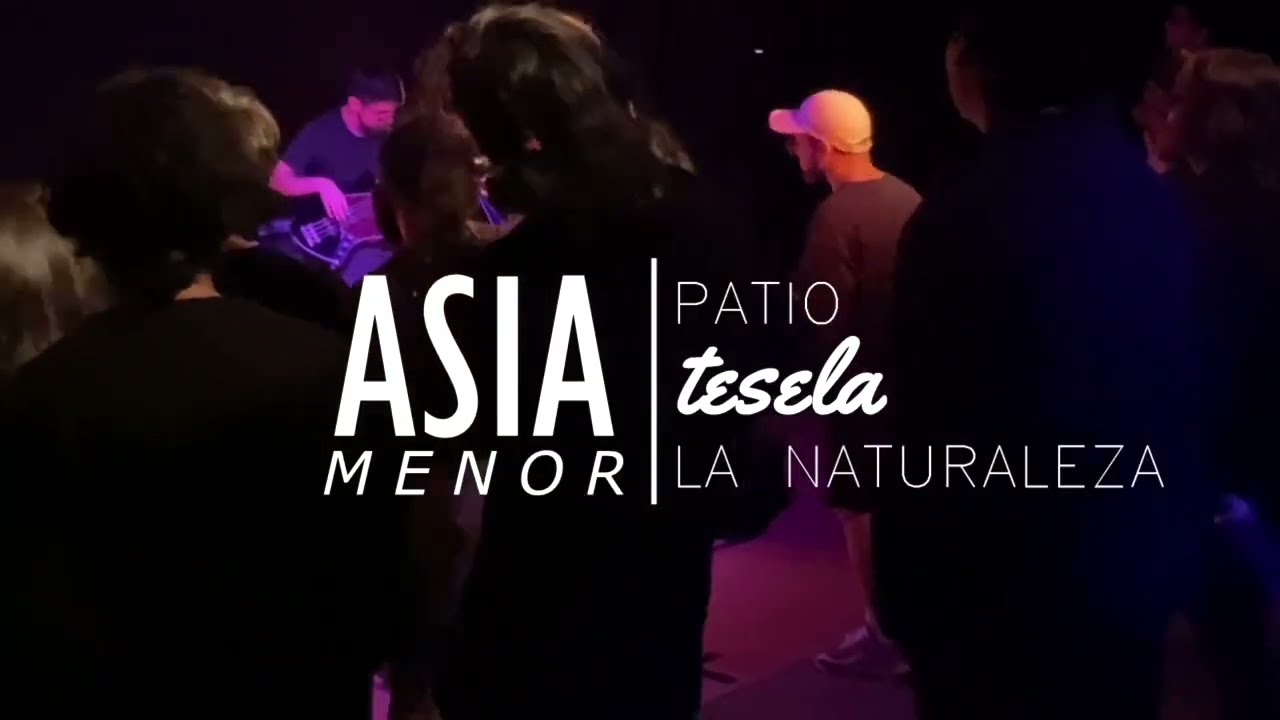 Asia Menor en Conce / Patio, Tesela, y La Naturaleza