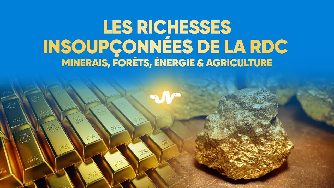 LES RICHESSES INSOUPÇONNÉES DE LA RDC   MINERAIS, FORÊTS, ÉNERGIE & AGRICULTURE