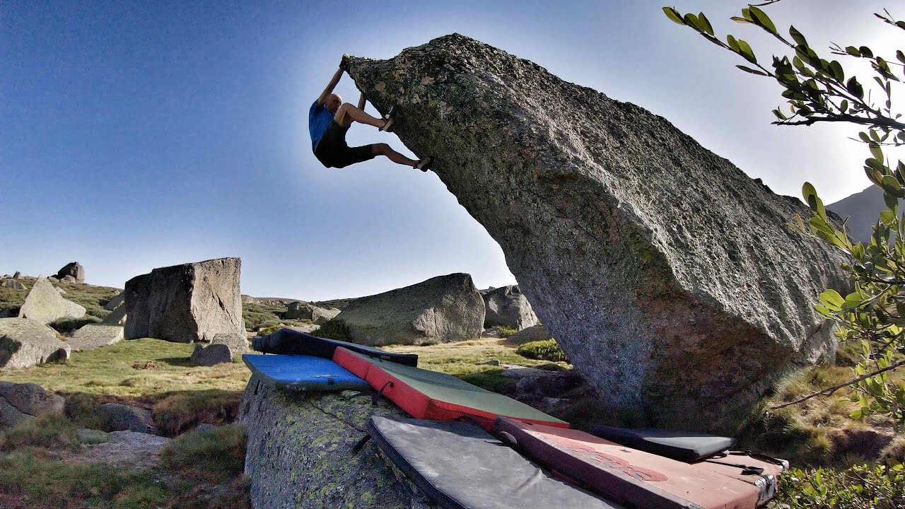 Hoyamoros : Osito Nobu 7A