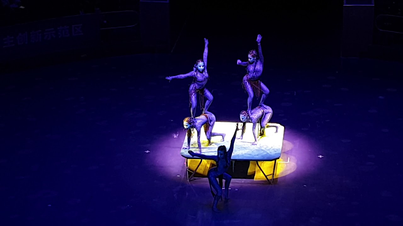 Avatar Contortion Mongolia13th Wuhan international circus festival Silver Crane award