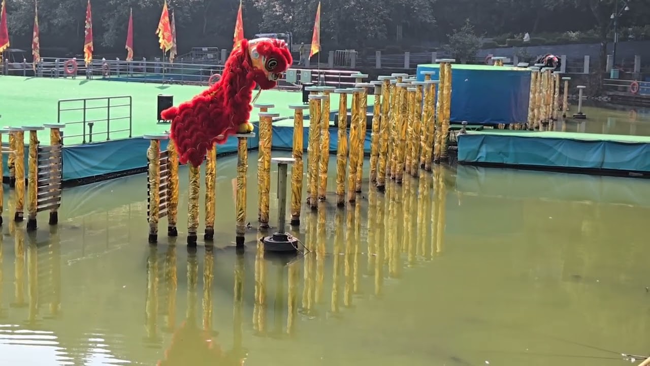 醒獅過水樁🔸️Chinese Lion Dancing Performance 
