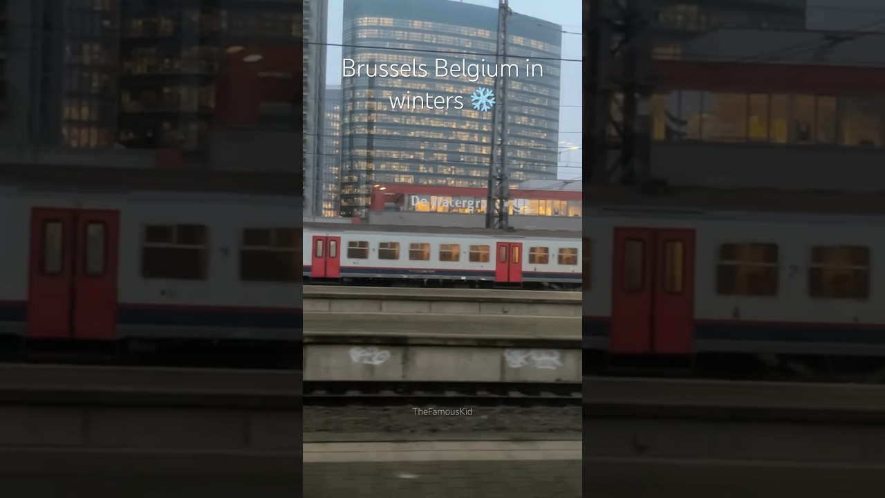 Train ride in Winters in Brussels Belgium | #shorts #travelshorts #brussels #europetravel