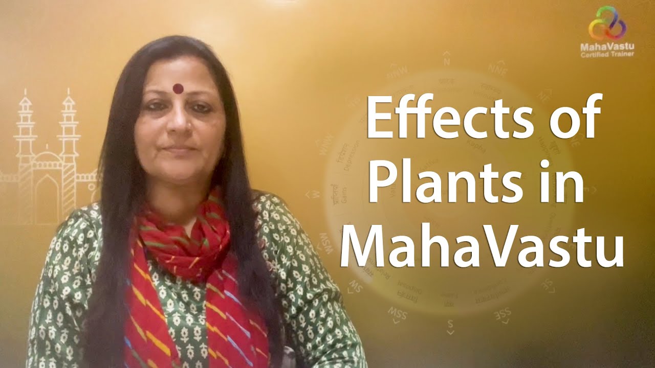 Plants & their Effects in MahaVastu | Acharya Bharti Verma
