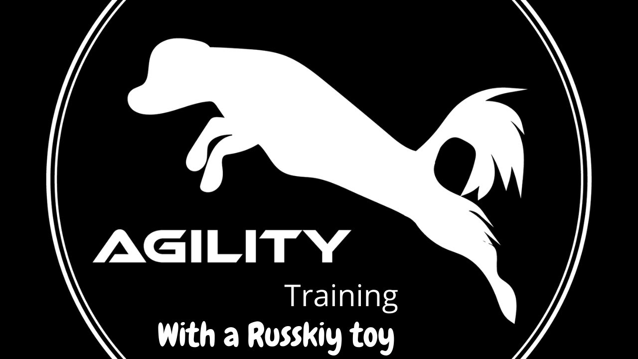 AGILITY TRAINING - with a RUSSKIY TOY