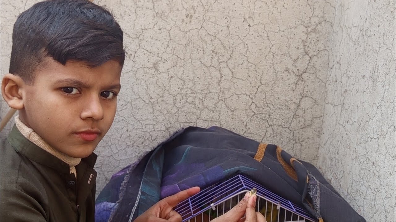 Parrot ky liye capsule ly please subscribe my channel #shayan Ayan vlogger
