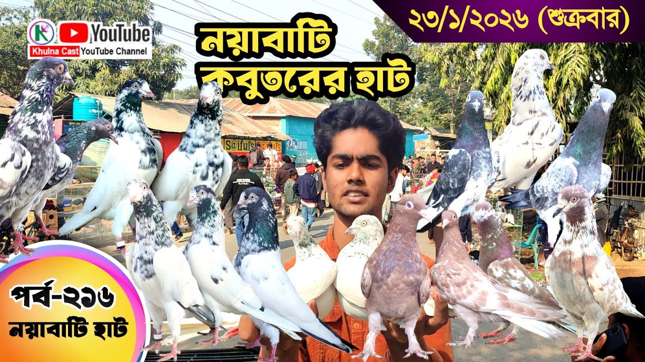 নয়াবাটি কবুতরের হাট পর্ব-২১৬।।খুলনা জেলার সবথেকে বড় কবুতরে হাট নয়াবাটী ।। the Largest pigeon market