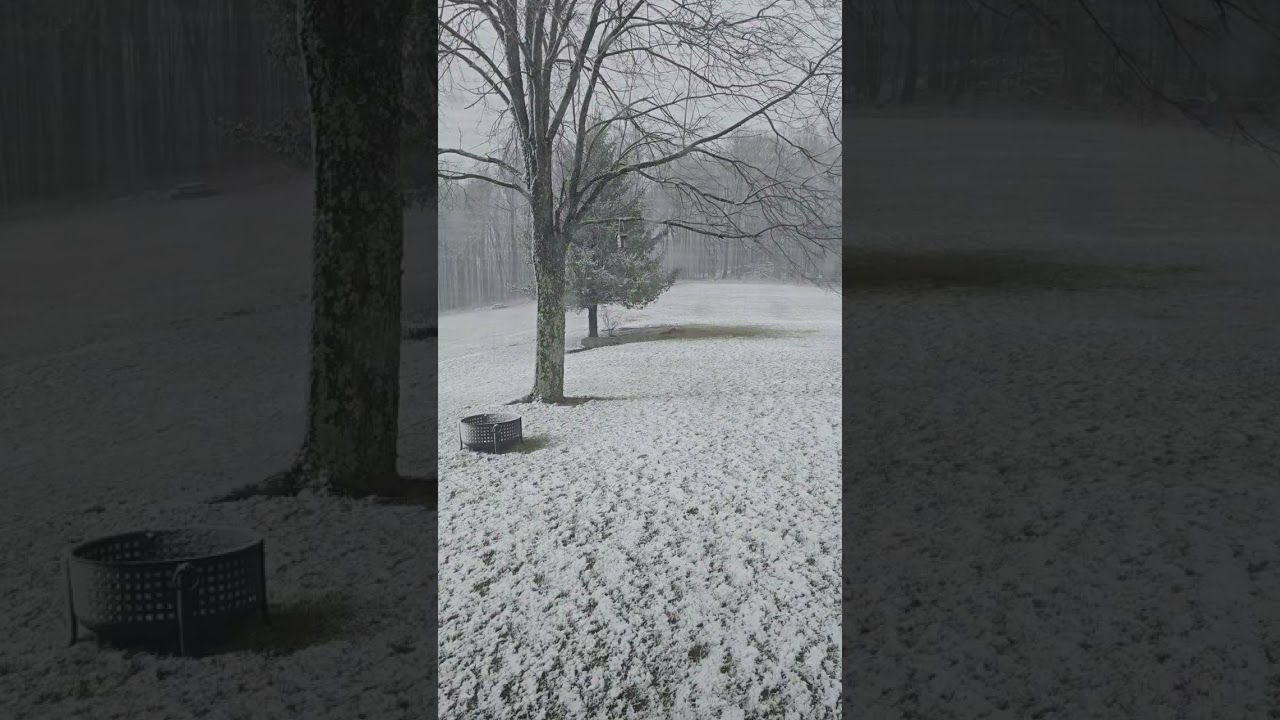 Day 71 Reading the Bible in a year 