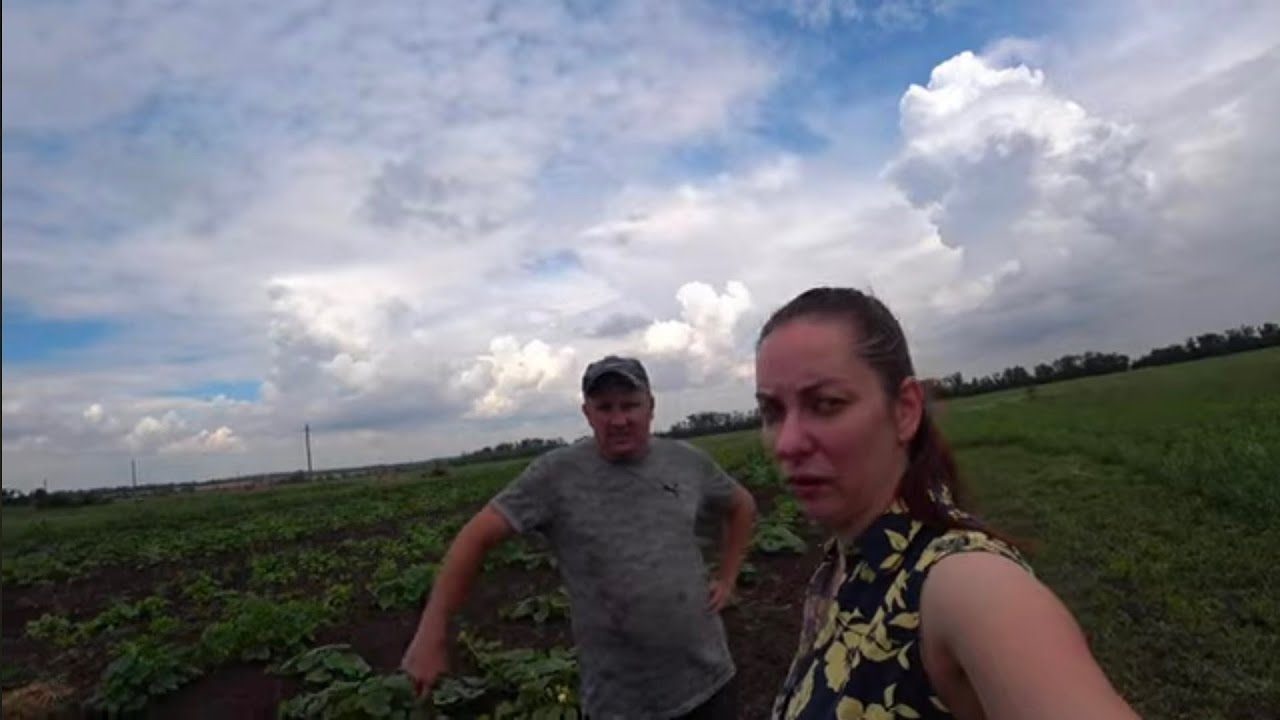 Збираємо перший урожай з нашого городу!!!