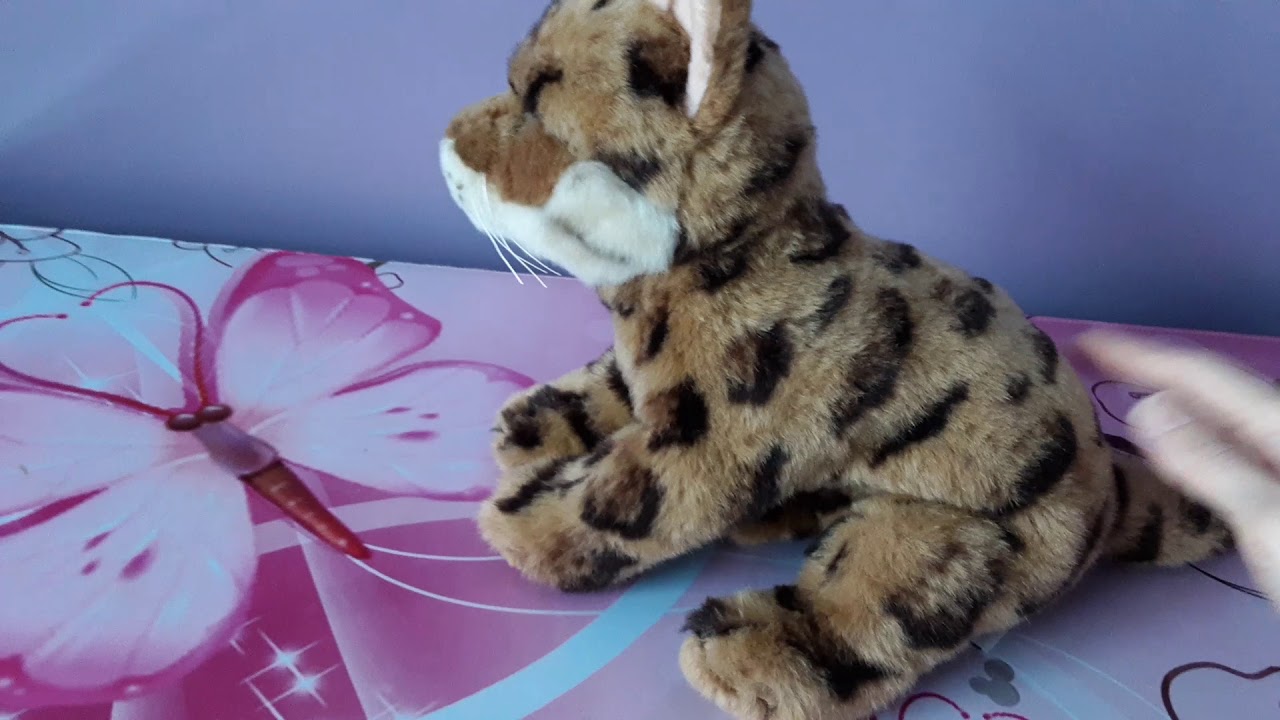 Review of the Webkinz Signature Bengal Cat 🐈