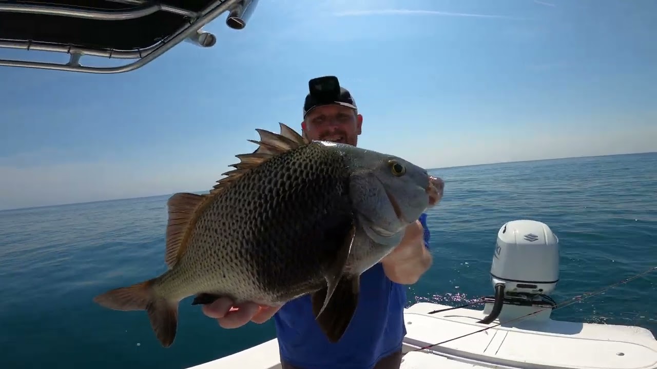UNCUT Florida Bottom Fishing *** We Caught a GIANT!!