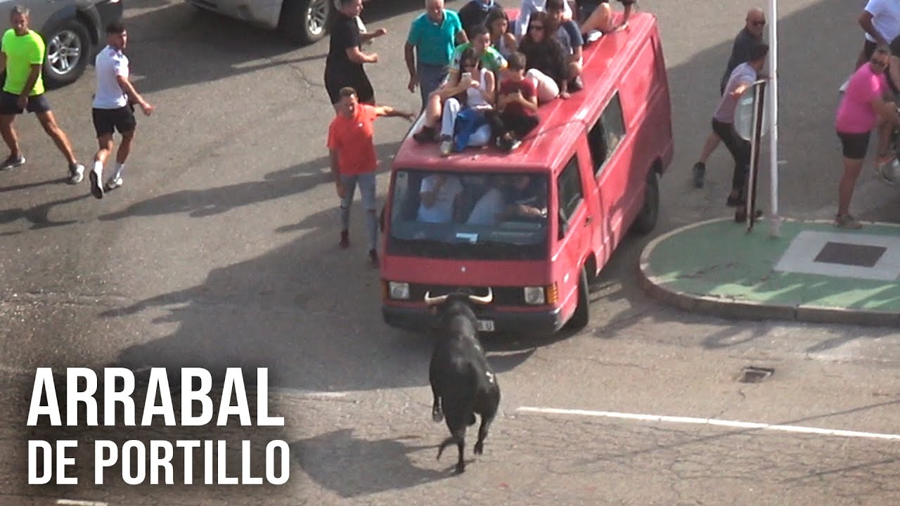 Arrabal de Portillo  2025  Encierro Campero con Toros Bravos