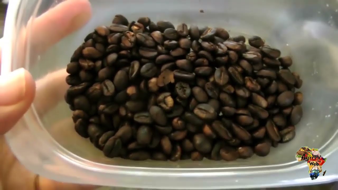 Quels produits issus de la transformation du café
