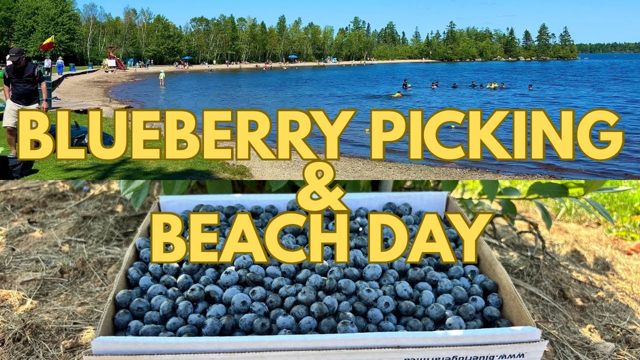 Blueberry Picking @ Blue Ridge Farm & Aylesford Lake Beach | A day trip in Nova Scotia