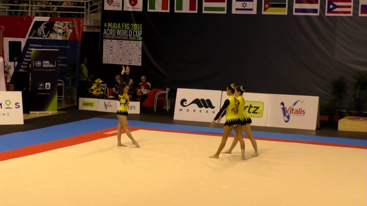 MIAC 2016   460   PnA   520   SEN   WG   ITA    Dyn   GEA LENTATE   Ziliani, Bresciani & Scarabottol