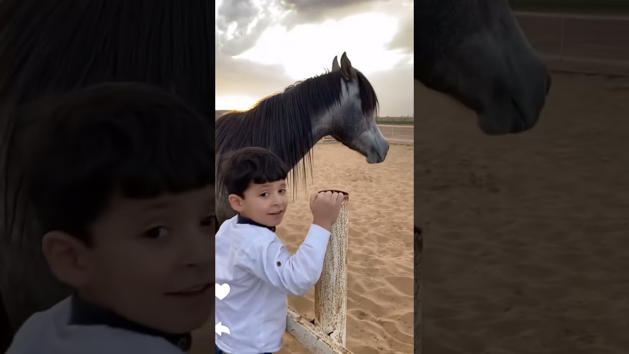 ابو ناصر جاب ضيوف جدد للمزرعة / سنابات ابو ناصر