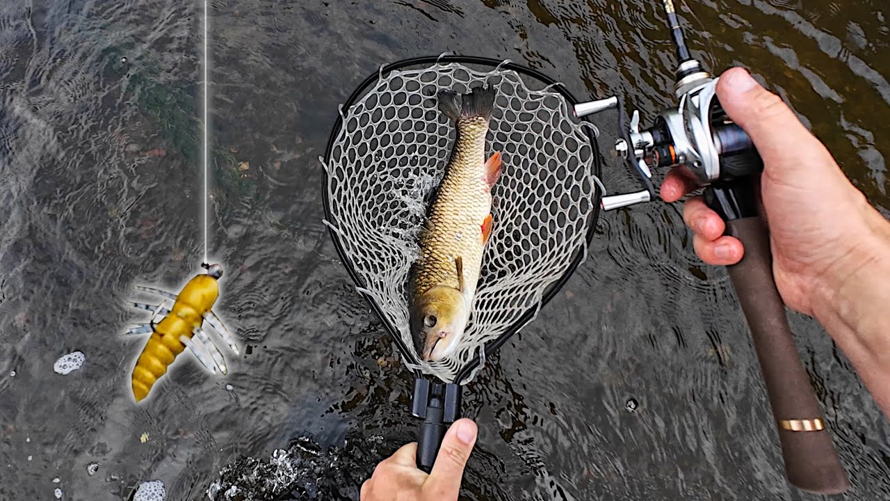 LIGHTEST BFS reel tested! Histar GIU. River lure fishing