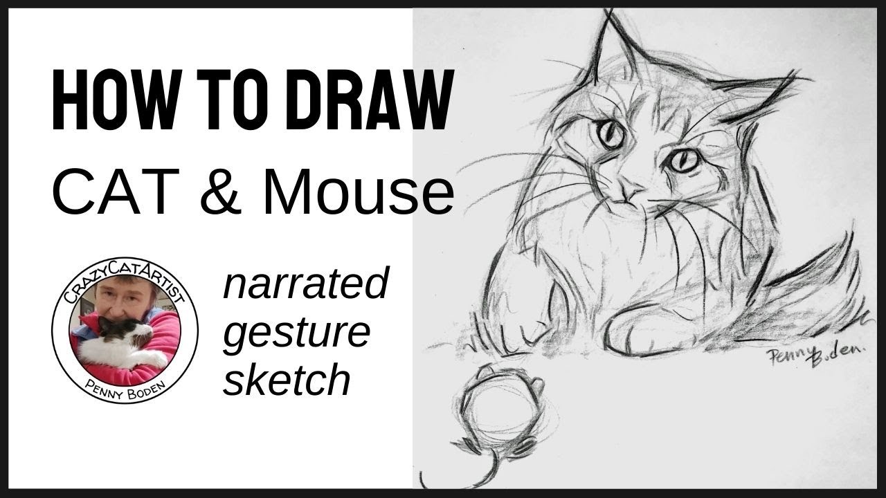 How to Draw Cat Playing with Mouse, long hair, face forward, hunt pouncing catching, batting, pawing