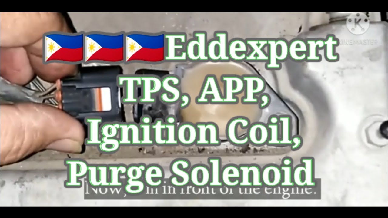 🇵🇭 Ignition coil, TPS, APP, Purge Solenoid function.Eddexpert(@153)