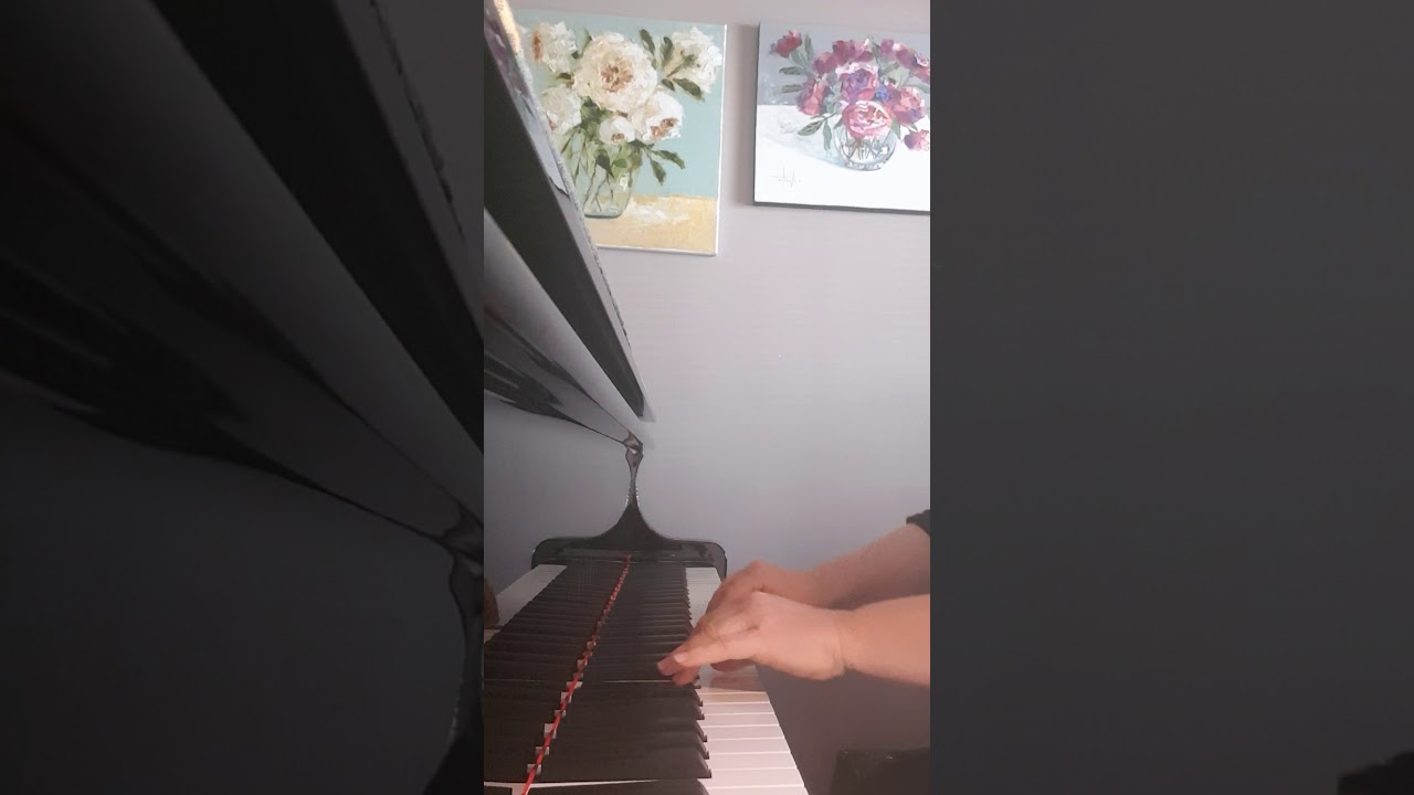 Sonata nr 1, Allegro for flute. L Vinci. Piano Accompaniment
