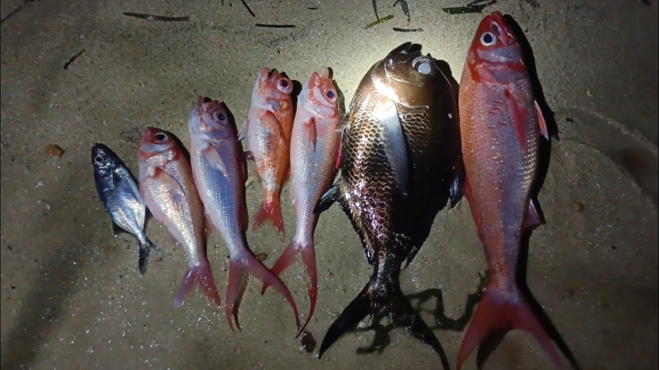 Nag try kami mag Jigging at ito ang mga nangyayari.