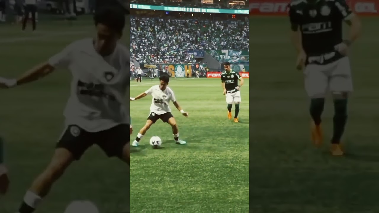 Segovinha humilhando Gustavo Gomes 😂 #botafogo #shortsvideo