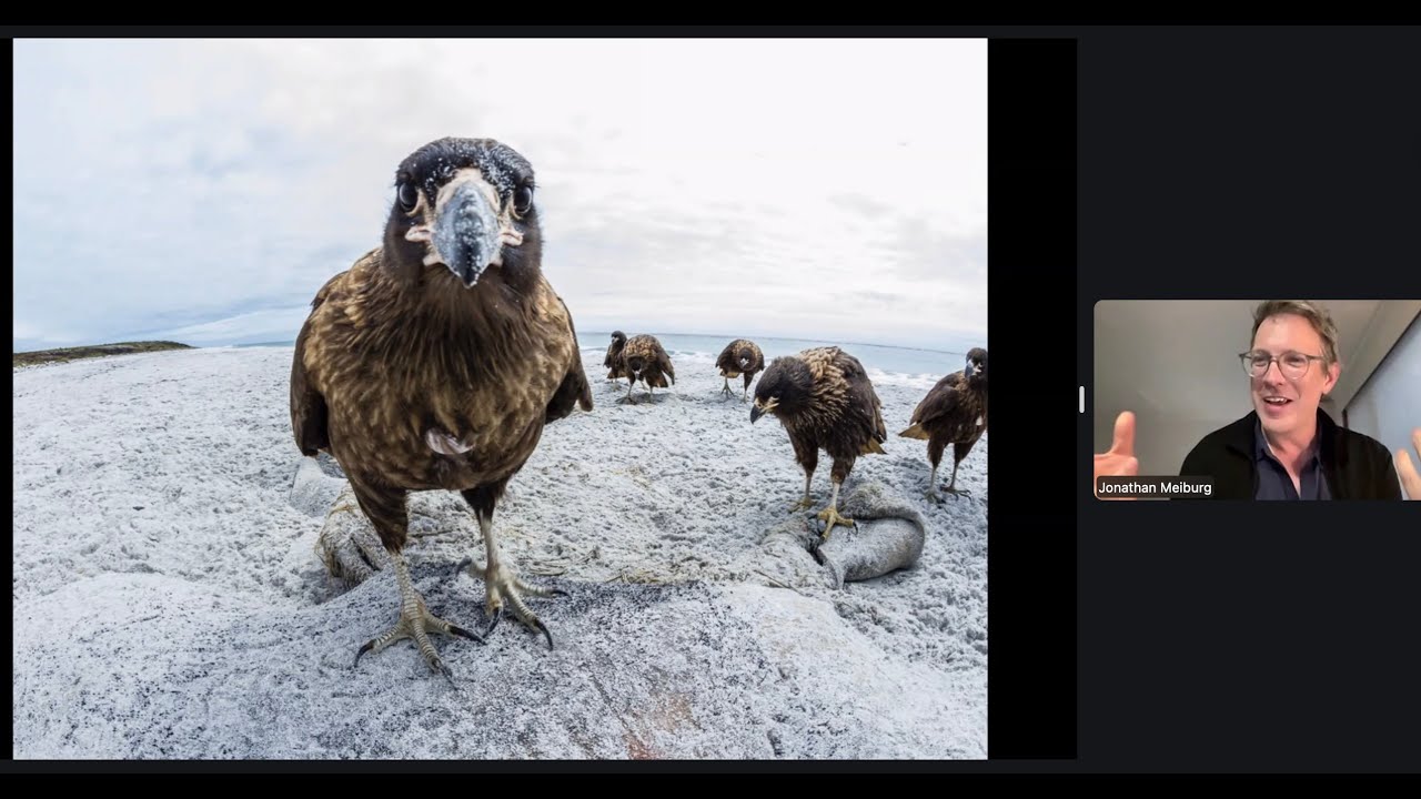 February 9, 2026 Jonathan Meiburg Caracaras