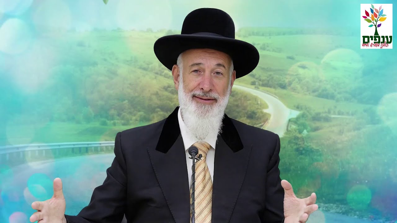 פרשת מטות - הרב יונה מצגר HD - רעיון מדהים!