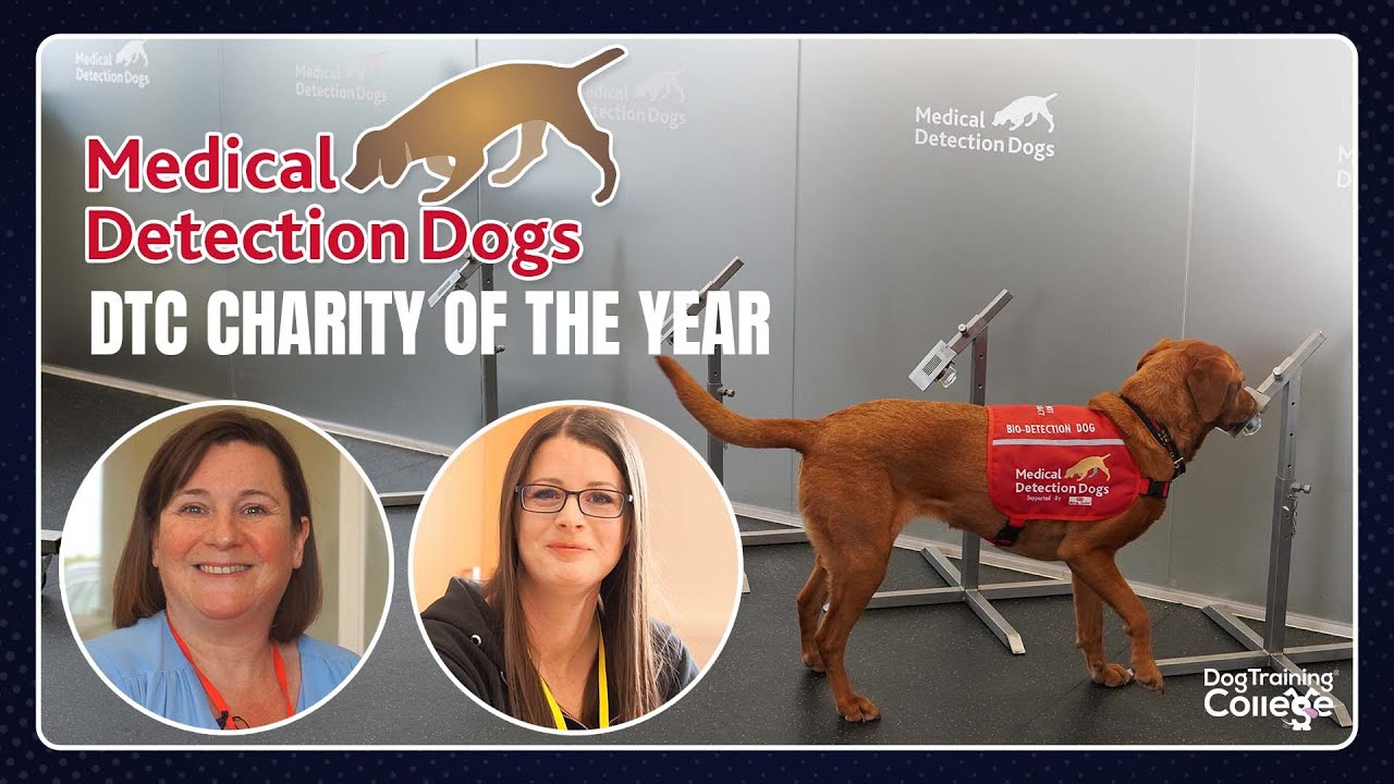 Medical Detection Dogs | More about the charity