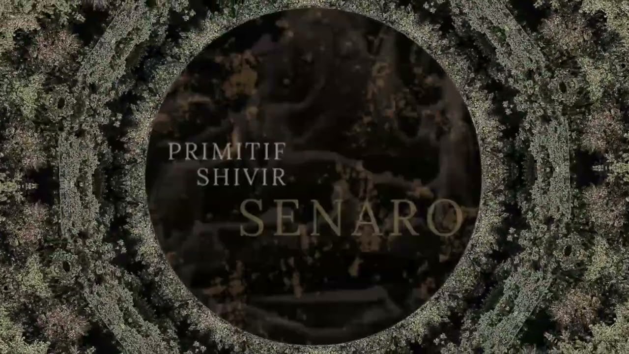 Primitif x Shivir - Senaro | Acidcore