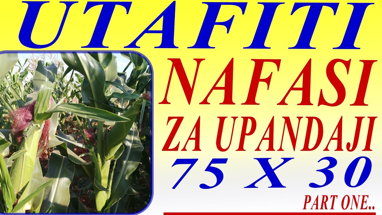 UTAFITI NAFASI ZA UPANDAJI 75X30 NA MINJA KILIMO