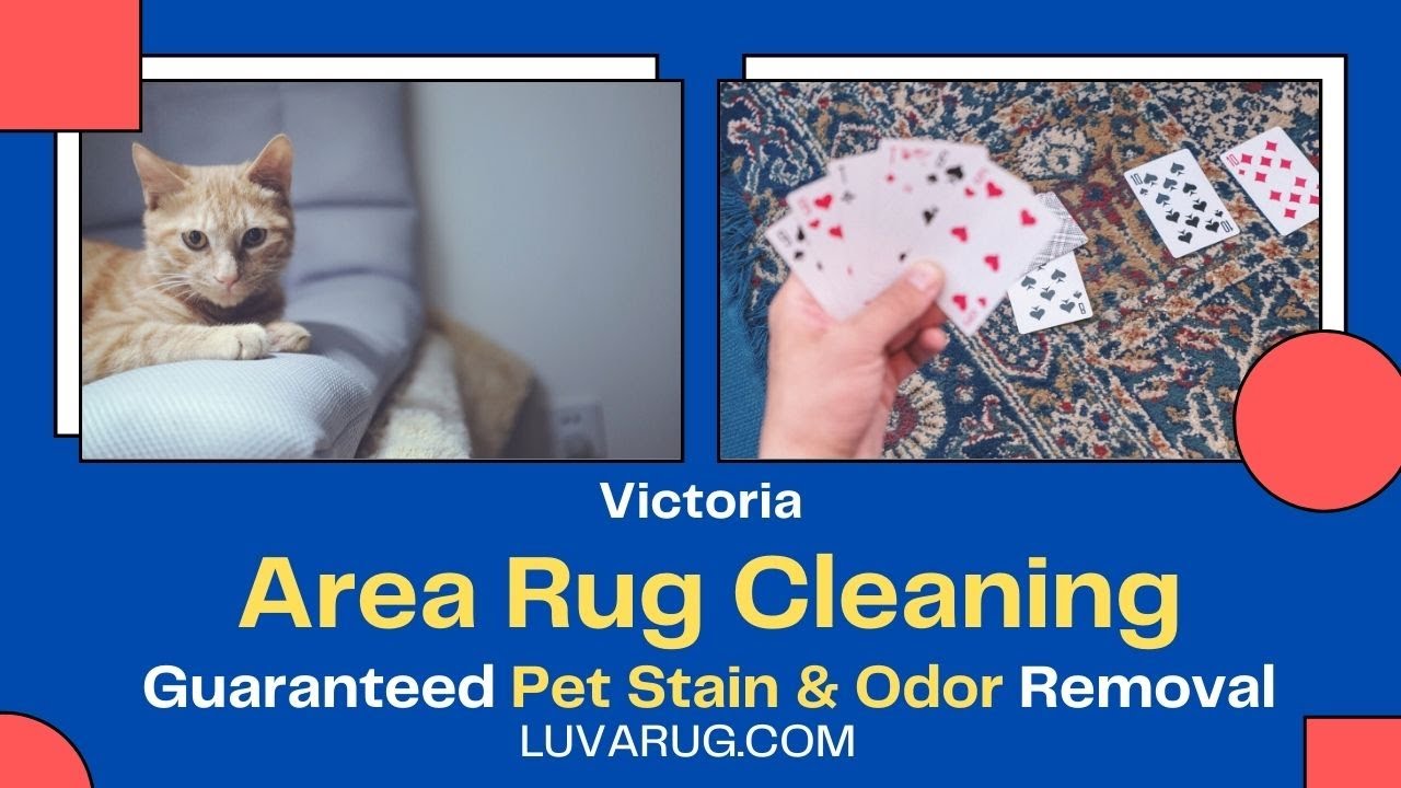 Area Rug Cleaning Pet Stain and Odor Removal Victoria BC