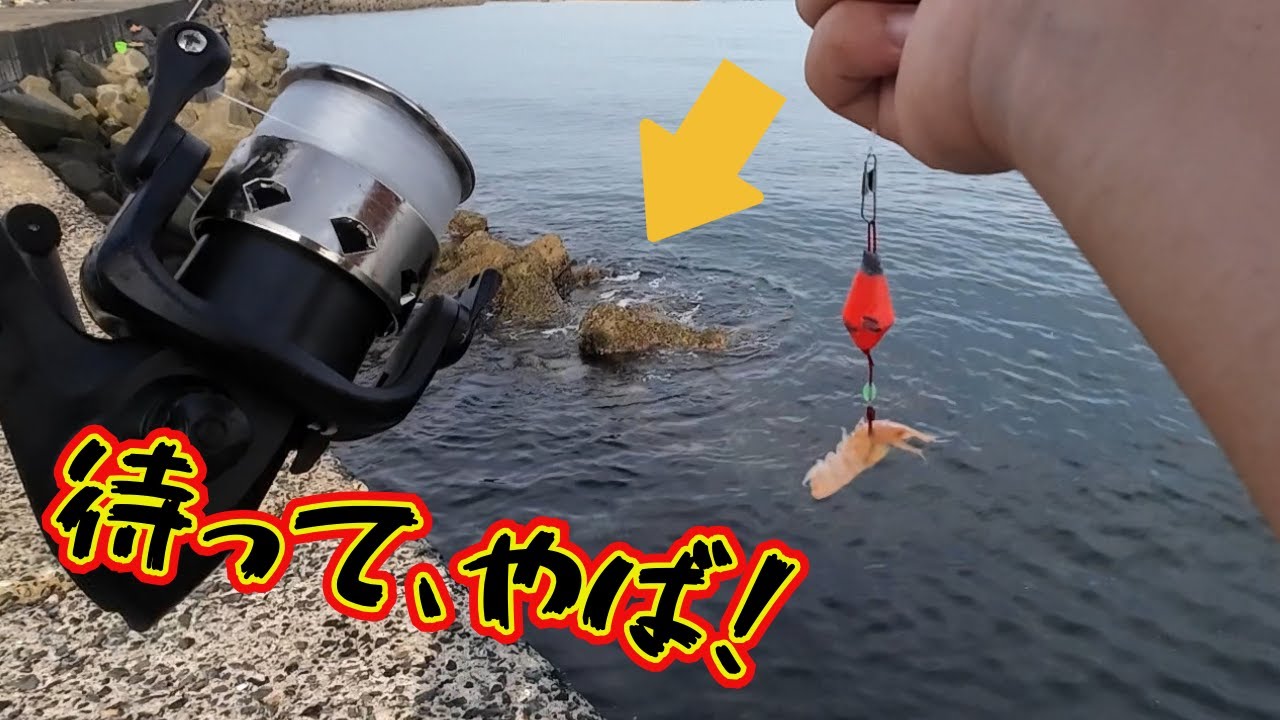 【糸島】全然釣れないので、テトラにブラクリを入れてみたら！？