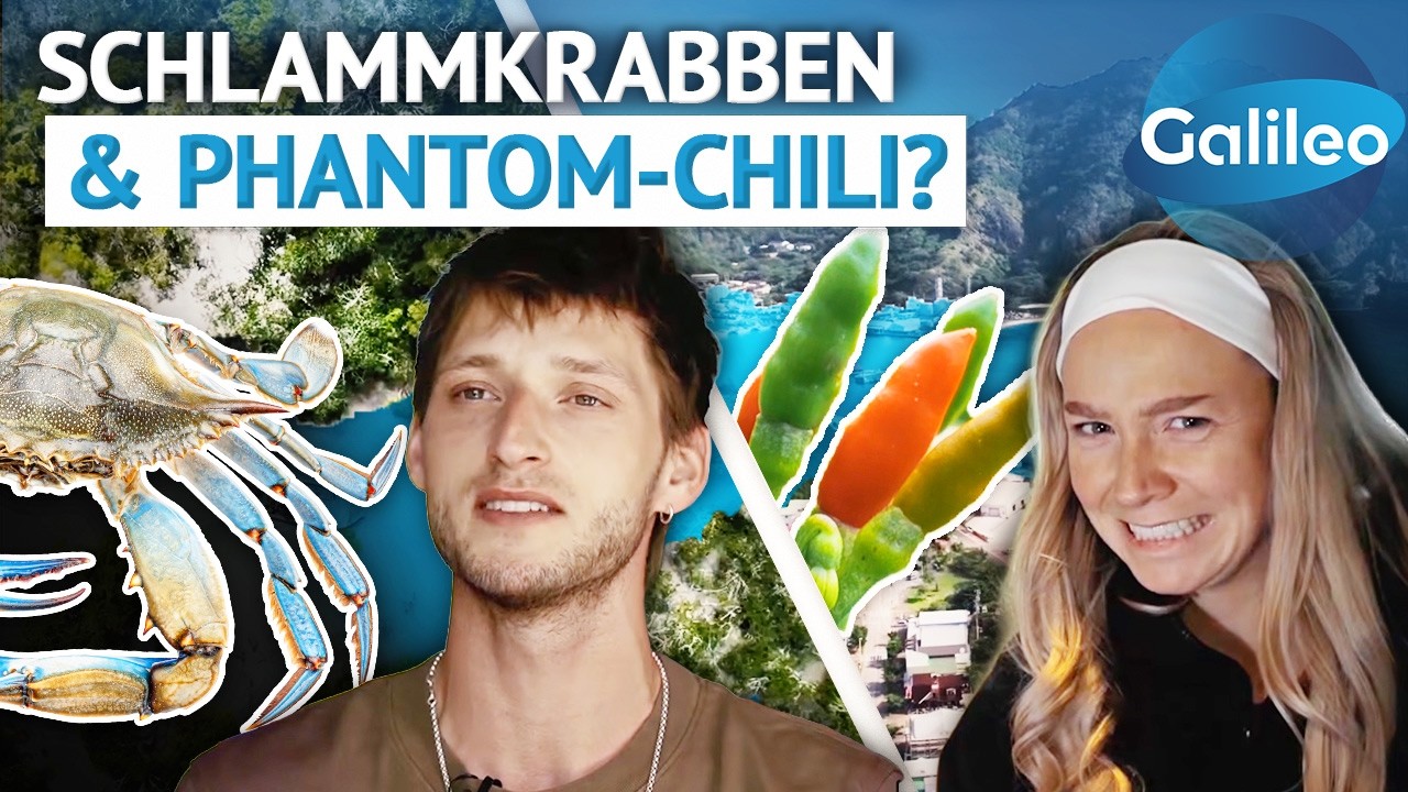 Dangerous Food: Phantom-Chilis und Knochenbrecher-Krabben