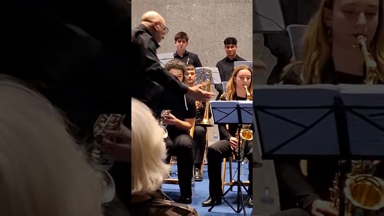 Concierto F. Moneda Madrid