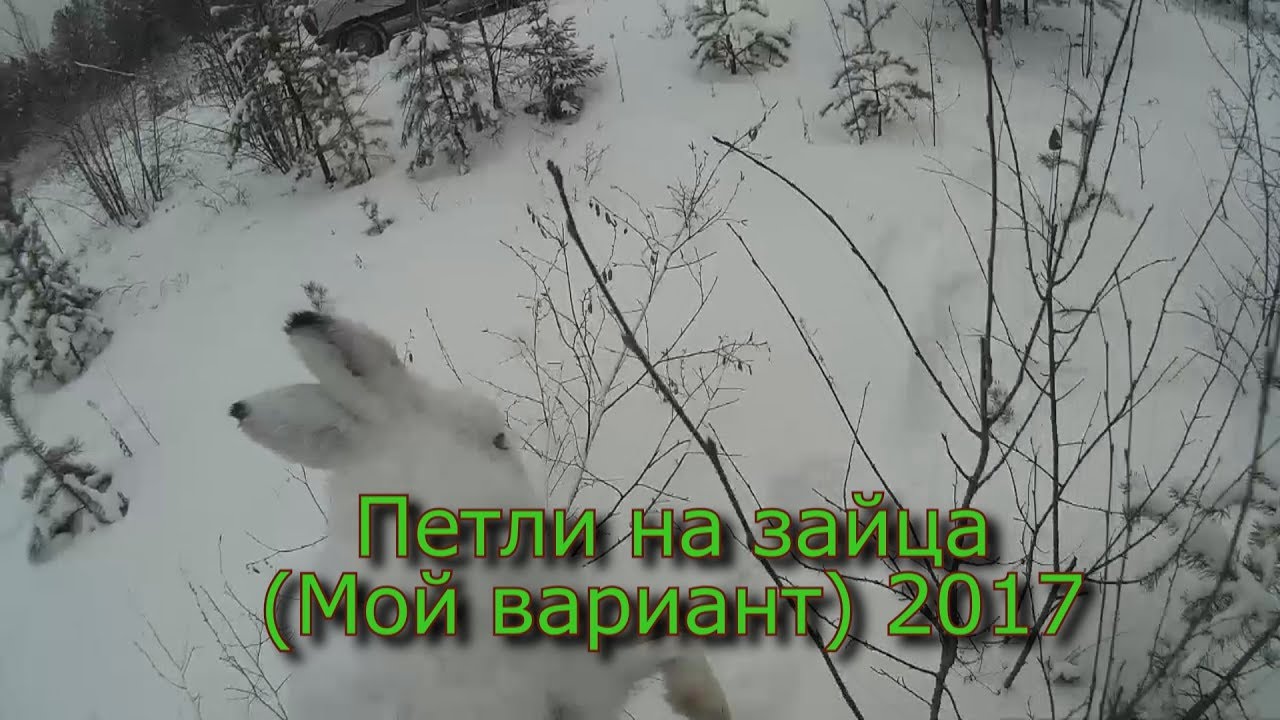 Петли на зайца (Мой вариант)