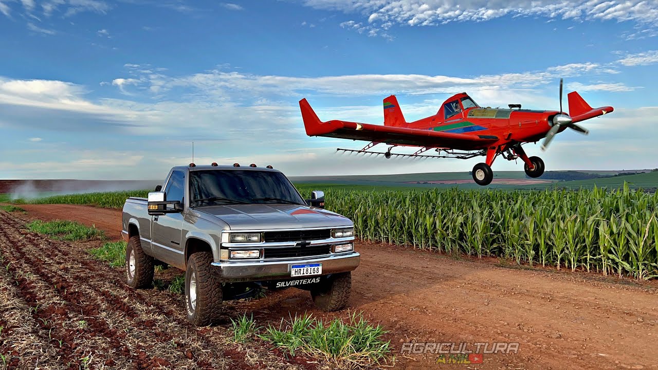 AVIAÇÃO AGRÍCOLA NO PARANÁ 🤠🛩️🐛!!!