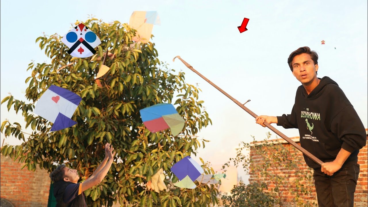 New Trick Caught Kite With Trees And Fight