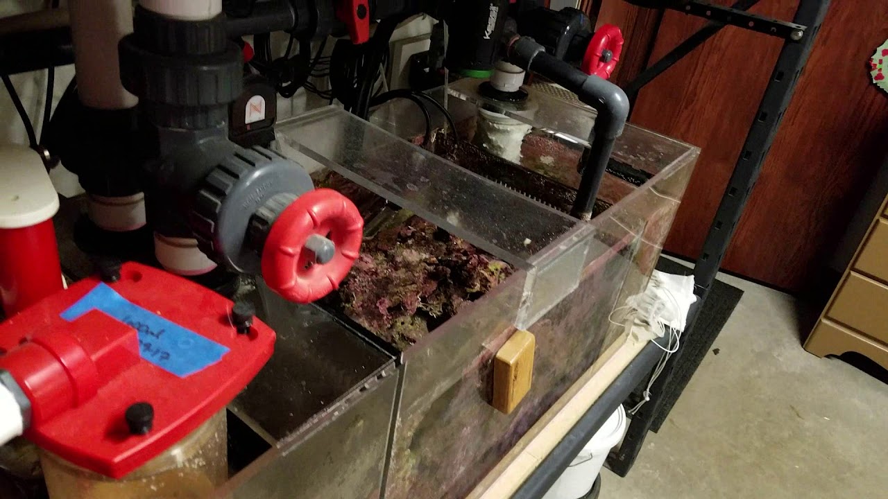 Aquarium Water Change Simple