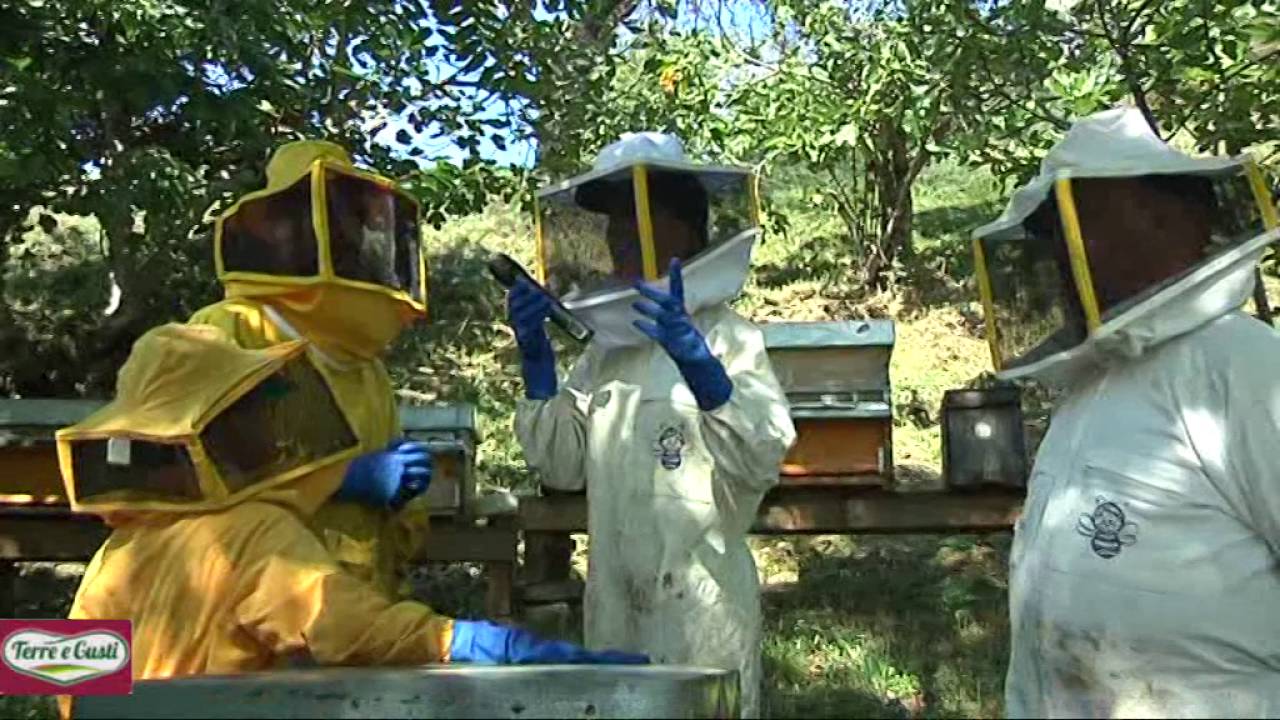 La Cooperativa Terre e Gusti presenta il socio :Az.Agricola Sandoro, produttrice di miele.